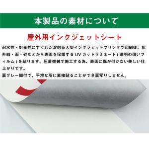 月極駐車場 ピクト表示 H30×W8cm 駐車...の詳細画像2