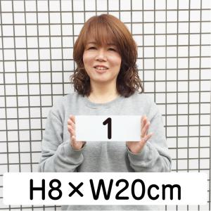 駐車場 番号 プレート H80×W200ミリ ...の詳細画像1