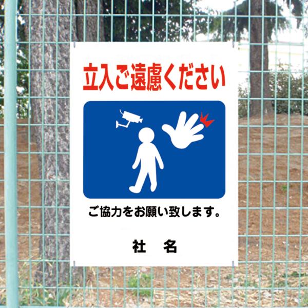 立入ご遠慮ください 看板 ご協力お願いサイン 立ち入り 立入禁止 H60×W45cm gky-05