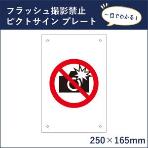 フラッシュ撮影禁止 ピクトサイン H250×W165mm ピクトグラム マーク 注意プレート 看板 フラッシュ禁止 mark-04｜e-netsign