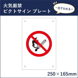 自転車乗り入れ禁止 ピクトサイン H250×W165mm ピクトグラム