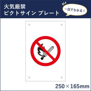 火気厳禁 ピクトサイン H250×W165mm ピクトグラム マーク 注意プレート 看板 立入禁止 火気禁止 禁煙 mark-06｜e-netsign