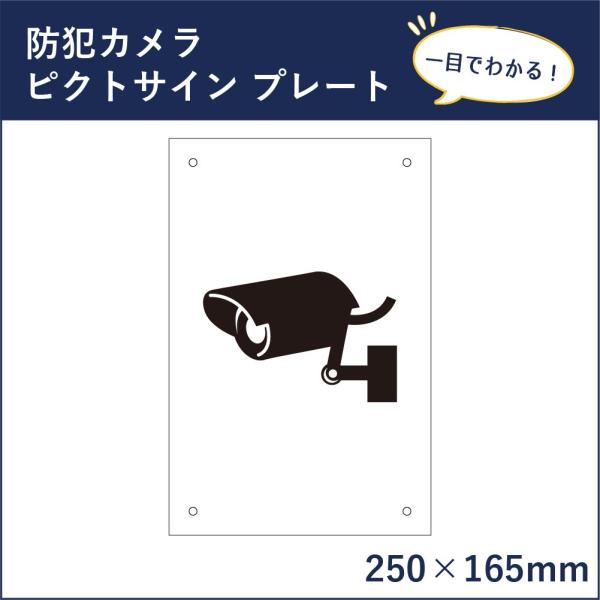 防犯カメラ ピクトサイン H250×W165mm ピクトグラム マーク 注意プレート 看板 監視カメ...