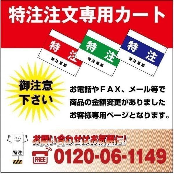 【特注】注文専用ページ　option0217y