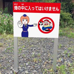 畑の中に入ってはいけません 2本足支柱付き看板 立ち入り禁止 杭 杭付き 角柱 プレートサイズ：H300×W400ミリ ssl-25｜e-netsign