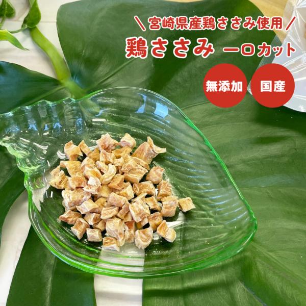 犬 おやつ 無添加 国産 鶏ささみ一口カット 40g 小粒 低脂肪 消化 小型犬 食べやすい 犬のお...