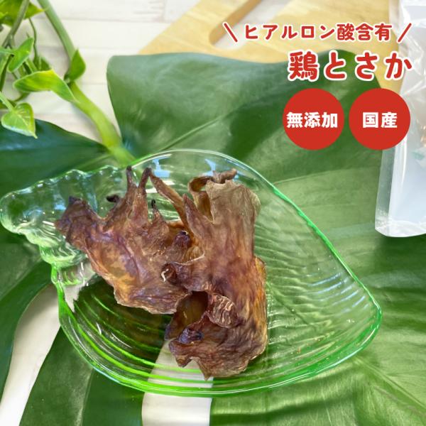 犬 おやつ 無添加 国産 鶏とさか 27g 低脂肪 ヒアルロン酸 しつけ   犬のおやつ  犬用 ド...