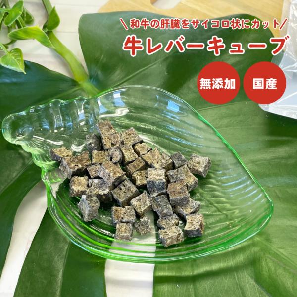 犬 おやつ 無添加 国産 牛レバーキューブ 40g 和牛 トレーニング ビタミン 鉄分 小粒 犬のお...
