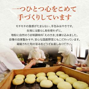 【冷凍】 善光寺おやき 10個入 国産野菜使用...の詳細画像1