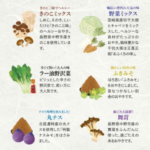 【冷凍】 善光寺おやき 10個入 国産野菜使用...の詳細画像3