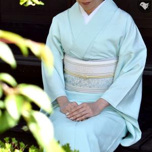 博多献上柄 未使用品 名古屋帯 八寸 単衣 博多名古屋帯 本場博多織り