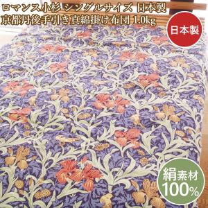 西川（nishikawa） シングル 真綿肌掛け布団 シルク肌布団 洗える