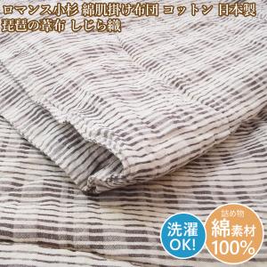 西川（nishikawa） シングル 真綿肌掛け布団 シルク肌布団 洗える