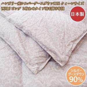 羽毛布団 クイーンサイズ セット (フランスベッド) フランスベッド（FRANCEBED） アウトレット 最終在庫 羽毛掛ふとん