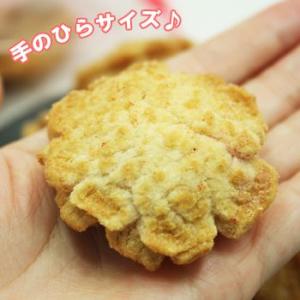 小亀 梅味 68g 沖縄 お土産の詳細画像2