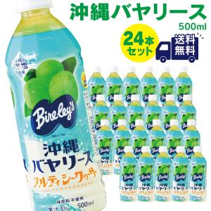 沖縄バヤリース　ソルティシークワーサー 果汁3％ 500ml×24本（送料無料）｜e-okiko