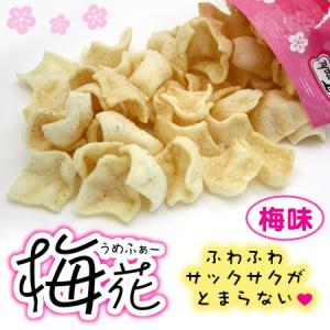 梅花 うめふぁー 66g　/梅味 沖縄お土産 お菓子 玉木製菓