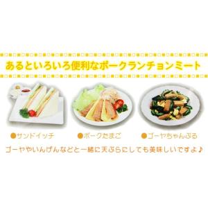 オキハム Oh ポーク 140gの詳細画像5