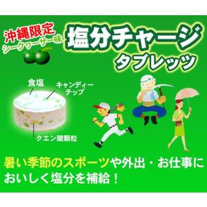 塩分チャージタブレッツ(シークワーサー味)81...の詳細画像4