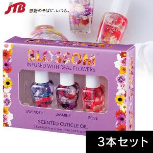 ネイルオイルハワイ土産の商品一覧 通販 Yahoo ショッピング