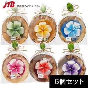 ハワイ ワイキキ お土産 ビーチリゾート 南の島 海外おみやげ アウトドア 釣り 旅行用品 通販 Yahoo ショッピング