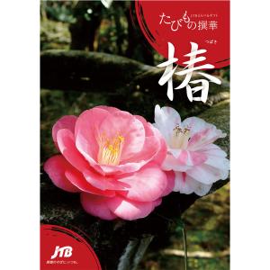 【発売元 JTB商事 公式】カタログギフト た...の詳細画像1
