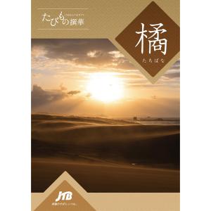 【発行元公式】カタログギフト 旅行 温泉 手提...の詳細画像1