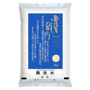 令和7年産 お米 あきほなみ 5kg 1セット 特A 最優秀金賞受賞 米 国産