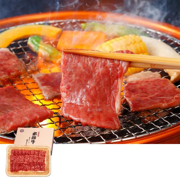 飛騨牛 ももかた肉 600g 焼肉用 冷凍｜牛肉 モモ お取り寄せ グルメ