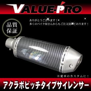 アクラボタイプD サイレンサー ヘキサゴン差込口50.8mm/ 50.8パイ汎用