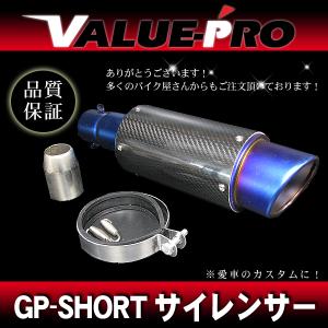 アクラポビッチ タイプ フルカーボン サイレンサー マフラー φ50.8π