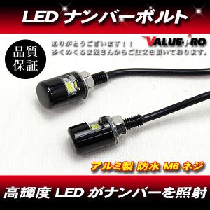 [郵送対応] ナンバー灯 LED ナンバーボルト ボルト型 バイク 2個セット ナンバープレート 黒 ブラック BLACK ボディー ホワイト発光