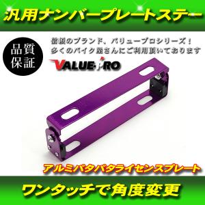 バリス  汎用ナンバーステー 41nSPjJLXaL.jpg