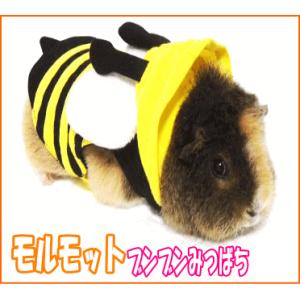 [レインボー]モルモット用ウエア ブンブンみつばち