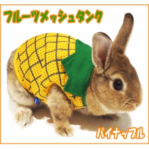 小動物用品専門店e ペット屋さん うさぎの服 ウサギ用品専門店 Yahoo ショッピング