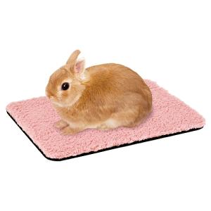 カワイ 情熱ほりほり ココナッツランド うさぎ モルモット チンチラ