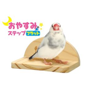 小型インコ、中型インコやフインチ等のフラットタ...の詳細画像1