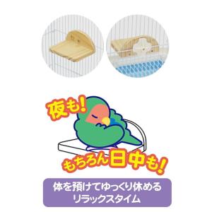 小型インコ、中型インコやフインチ等のフラットタ...の詳細画像3