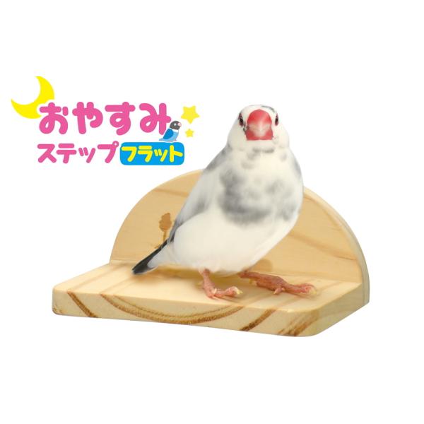 [三晃商会]フラットタイプの小鳥用とまり木！おやすみステップ　フラット