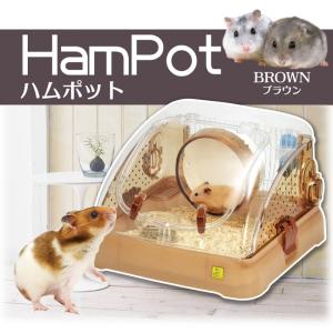 このり　ルーミィベーシック　ハムスター　飼育セット　まとめ売り 三晃商会]ハムスター飼育キット・ルーミィ ベーシック : 小動物用品