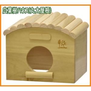 GEX]クリアでよく見えるハリネズミ・デグー用アクリル製ケージ