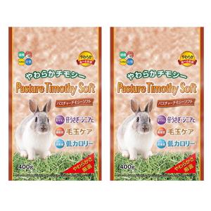 オリエンタル酵母マウス・ラット・ハムスター用MF（基礎飼料）10Kg