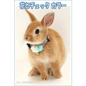 [アモワークス]うさぎ用首輪花とチェックカラ--