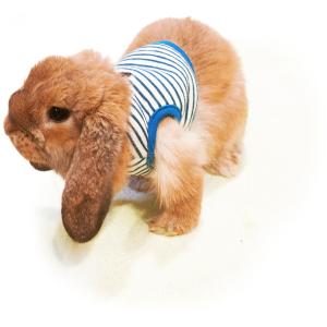 [レインボー]うさぎのハーネスウエアランランハーネスウエア・しましま（ブルー）（※リードは付属していません。）