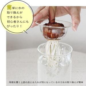 BULBVASE水栽培ガラスベース クリア シ...の詳細画像2