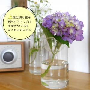 BULBVASE水栽培ガラスベース クリア シ...の詳細画像4