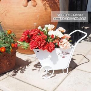 即出荷 カートプランター プランター 植木鉢 鉢 ポット おしゃれ ガーデニング 鉢カバー 寄せ植え フラワースタンド インテリア オブジェ 7129 村田屋産業