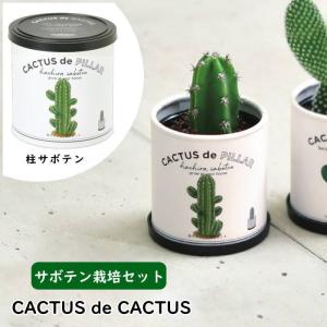 CACTUS de CACTUS カクタス de...の商品画像