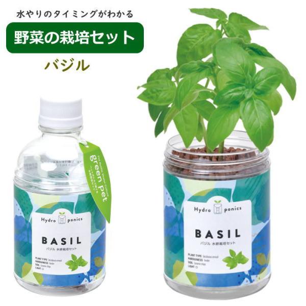 グリーンペット green pet バジル 水耕栽培 栽培セット キット 室内 野菜 ハーブ 園芸 ...