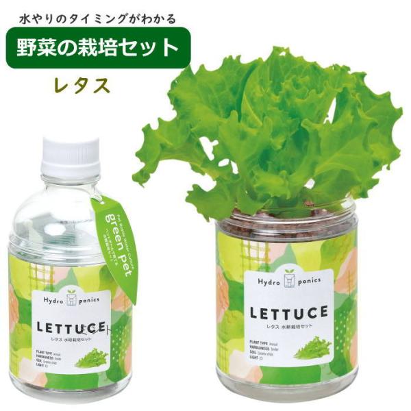 グリーンペット green pet レタス水耕栽培 栽培セット キット 室内 野菜 ハーブ 園芸 ガ...